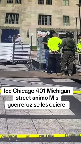 Ice Chicago 401 Michigan trankilos Mis perritos 