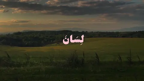 واجعلني من ورثة جنة النعيم . #قران #واغفر_لابي #quran #ياسر_الدوسري #تصميم_قران 