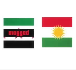 ❤️☀️💚#fyp#kurdistan#kurdish#kurd#kurdish