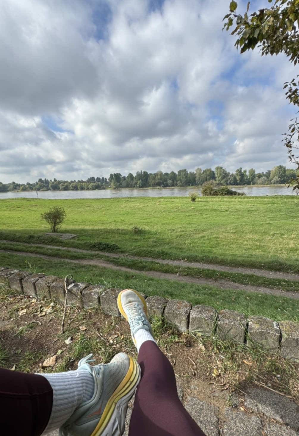 My favorite route near the Rhein 🤎