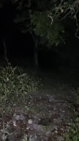Un Amigo se queda SOLO con la Cámara 🎥  #livehighlights #tiktoklive #Paranormal 