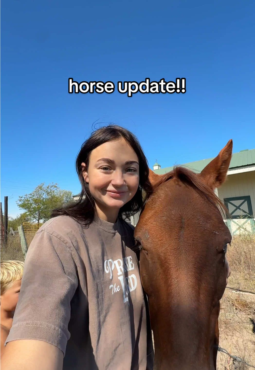 everyone meet our horse!! he is such a sweet boy. should we bring them both to our homestead? #horses #homestead #countrylife #motherhood #acreage  living on land farm animals horses for kids riding horses homestead family homesteading 