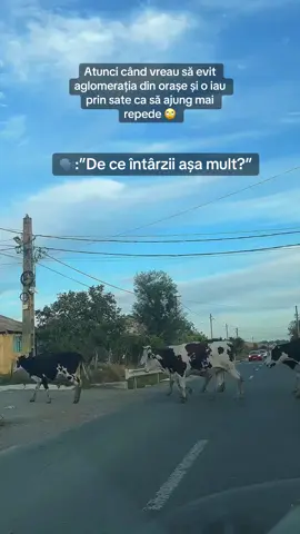 Din categoria “alegeri proaste”🫣🤣 #geo #huge 