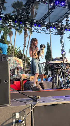 An honor to have been barked at #magdalenabay #imaginaldisk #imaginalmysterytour #wolfie #fyp 