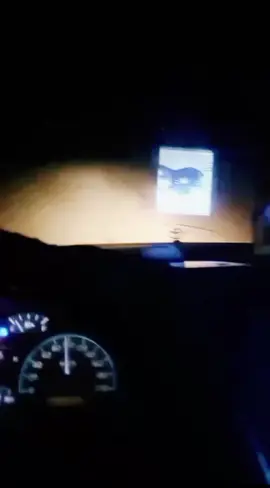 لايك_متابعه_اكسبلور #ارض الله الواسعه 📸 📸