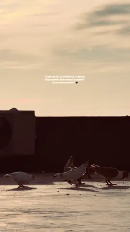 Yokmu yürek yakan sözleriniz🥀#keşfet #storylikvideolar📌 #albunukeşfetetiktok #keşfetteyizzz #keşfetbeniöneçıkar 