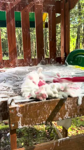 Playground Cleanup Part Two🫧 Watermelon Fab Dish Soap, Pine Pinalen #clean #Outdoors #playground #cleaning #cleaninghacks 