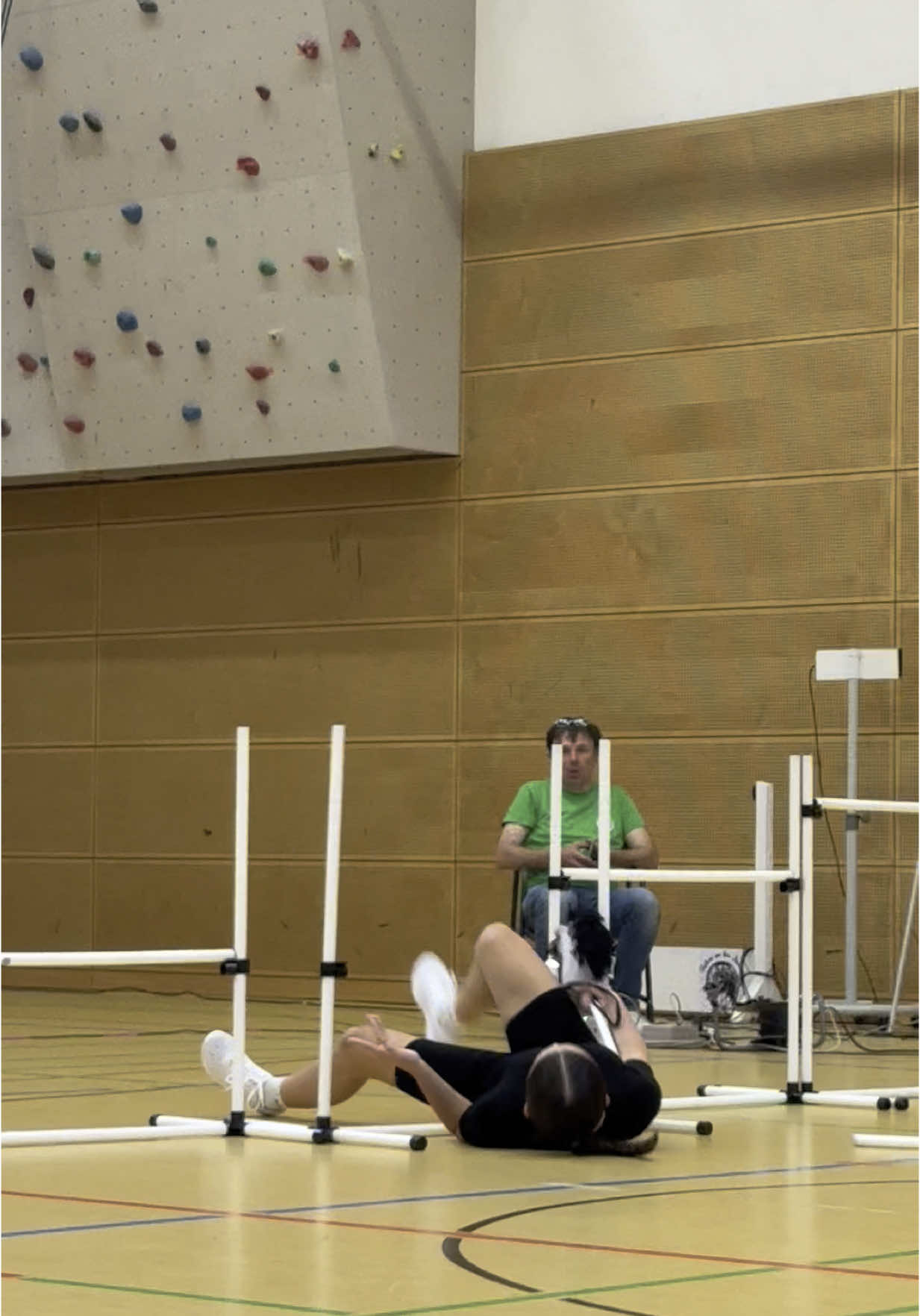 Third place  #hobbyhorsing #mesbegyourpardon #hobbyhorse 