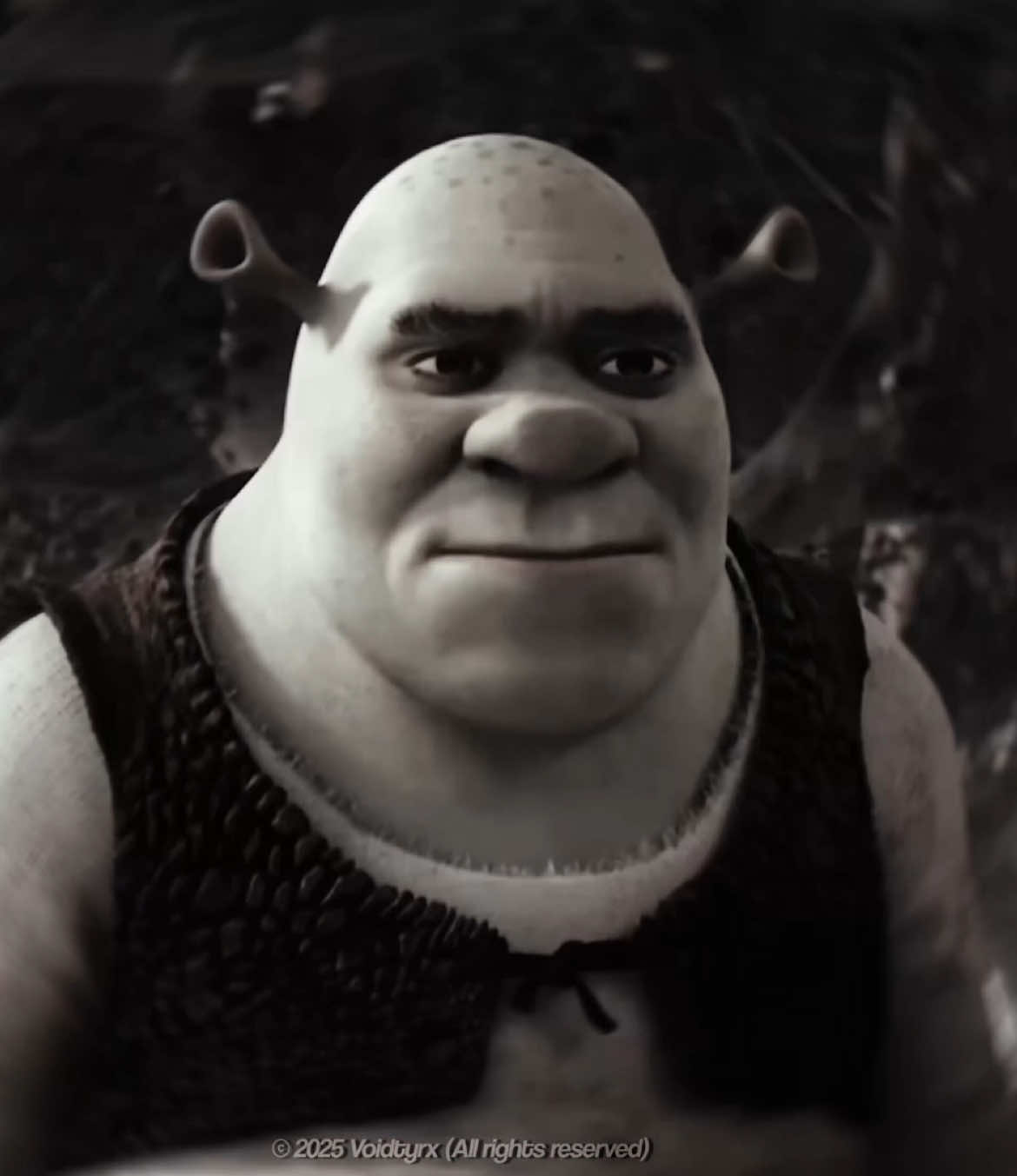 #shrek || made this on a whim 😭 is this weird… || #shrekedit #fyp #viral #voidtyrx || @jayden★ saw it first 