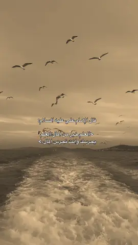 #شاركوا🤎👇  . . . . #مشاهير_تيك_توك #العراق🇮🇶 #متابعه #اكسبلور 