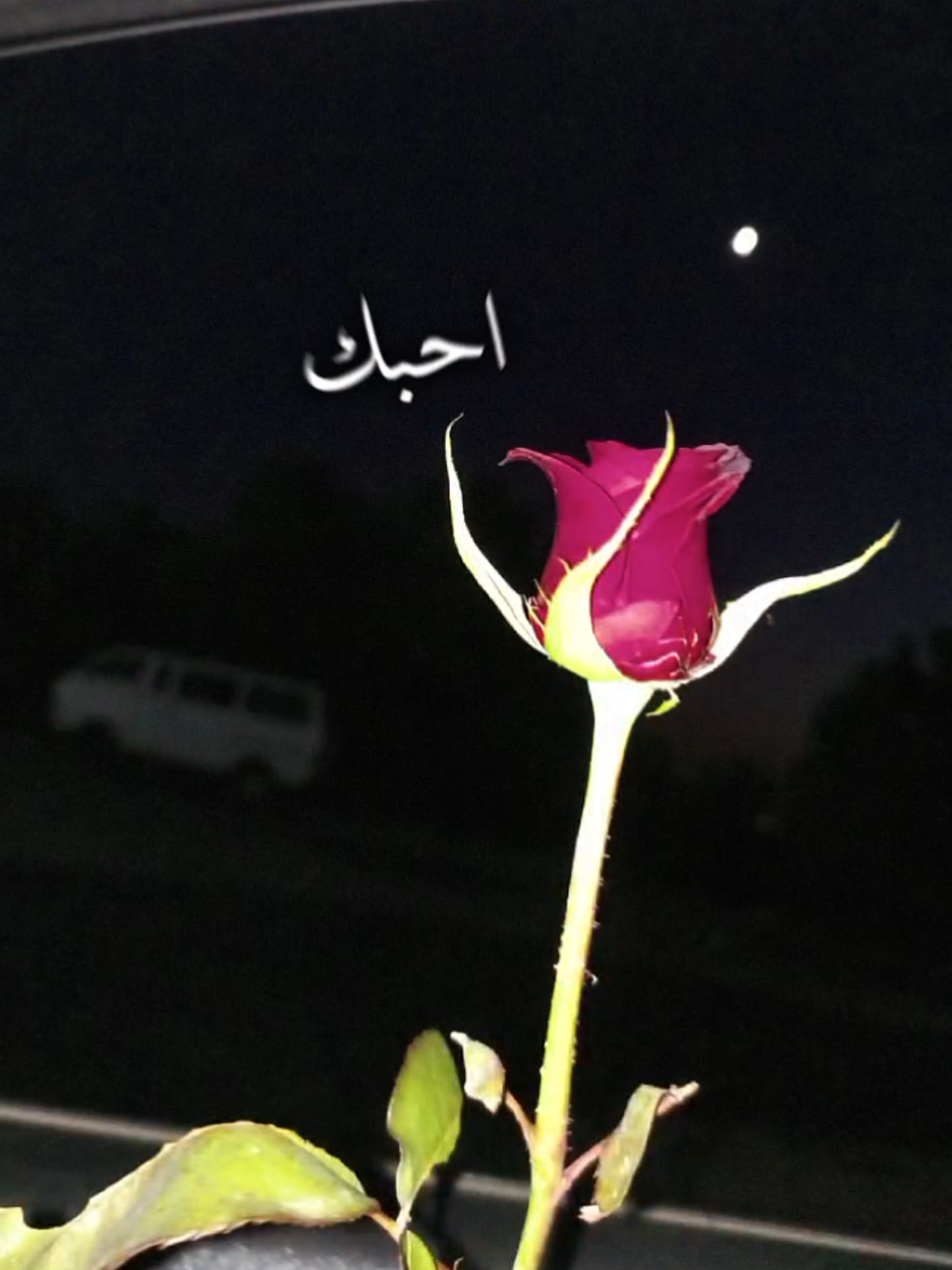 انتي حبك هويتي ❤️✨#CapCut #منشن_الحب #اكسبلور #تصويري #lavendr81 