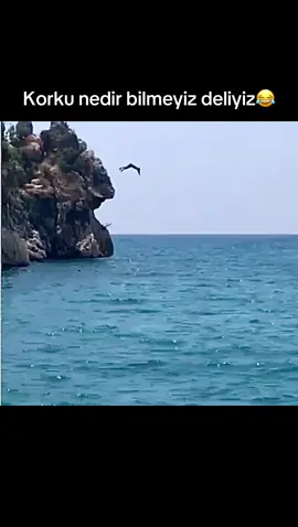#altınorfoz 