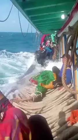 BUJANG DENGAN ADEGAN BERBAHAYA NYA🔥😅 #cantrangtegal  #plabuhantegal  #dogolancantrang  #kapalcantrangtegal  #swlsemangatwonglanang 