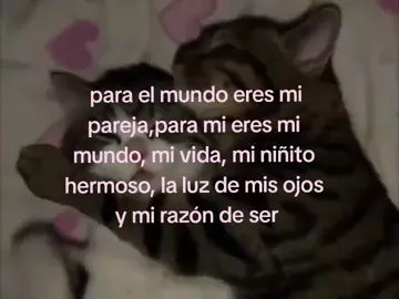 eres mi todo, te amo mi cielo  #paratiiiiiiiiiiiiiiiiiiiiiiiiiiiiiii #teamo #gatitos #fyp 