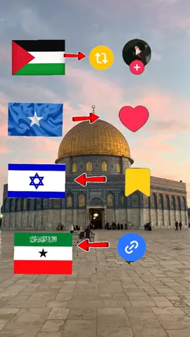 phalst guul i.a #phalstinefree🇵🇸  #somalilandtiktok💚🤍❤  #simaligarlstiktok❤💯🤩🥰 