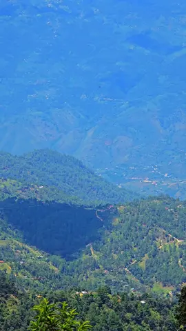 Cuilco Huehuetenango📸🌽 #Cuilco #paisaje #árboles #adelsontojilgt 