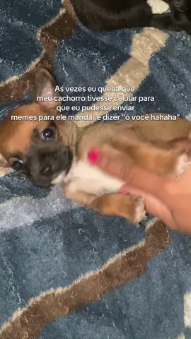 #fy #filhote #cachorro #foryourpage 