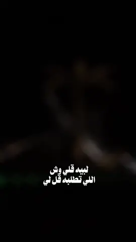 #تبوك الورد #لبيه قلي وش اللي تطلبه قل لي#قل لي وش اللي تبي وابشر بمطلوبك#اكسسسسسسبلور #مجرد________ذووووووق