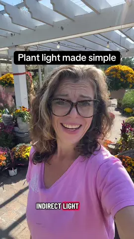 Houseplant light explained 🌞➡️🌘 Direct, bright indirect, medium, and low light made simple: right in the sun, just out of the sun, a few feet back, or way across the room. Knowing the difference keeps your plants healthy and prevents leggy, stressed growth 🌿✨ #houseplanttips #plantlight #plantcare #gardening #TikTokLearningCampaign 