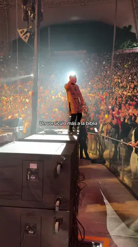 #juntos #oaxaca #arrolladora #fypp