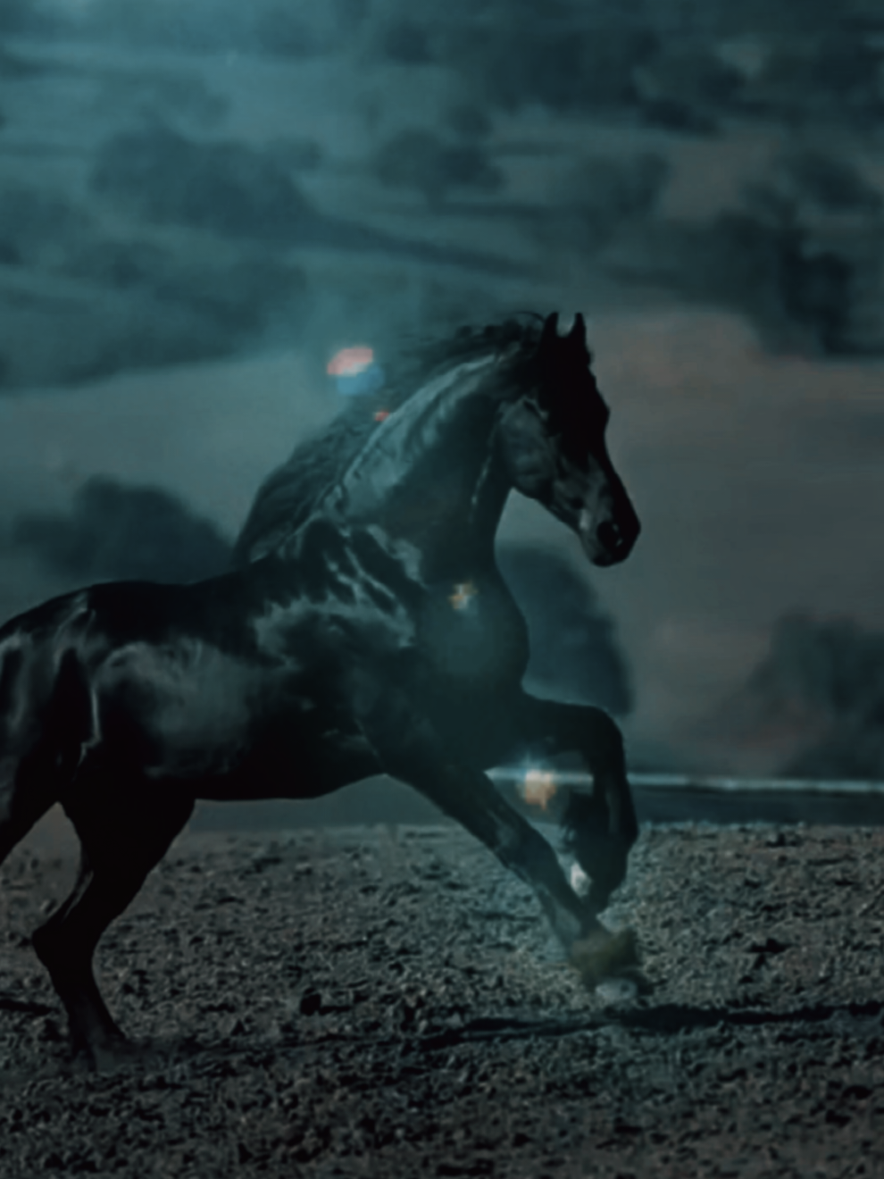 #عشاق_الخيل #الحصان_العربي #الخيل_العربي #الخيل #الحصان_الاسود 