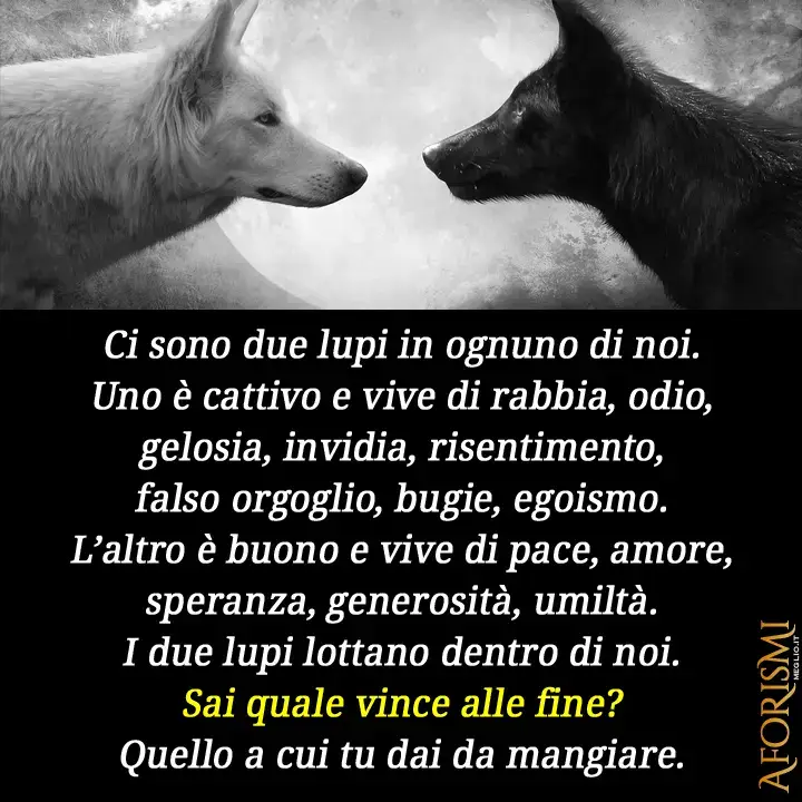 #neipertee a #finamoneiperte 