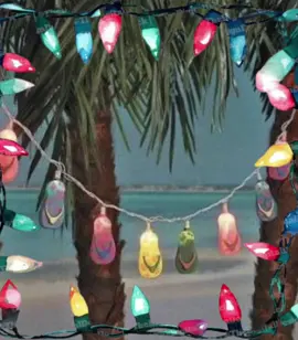 Merry Christmas everyone !! || #melekalikimaka #merrychristmas #christmas #hawaii #hawaiianchristmas 