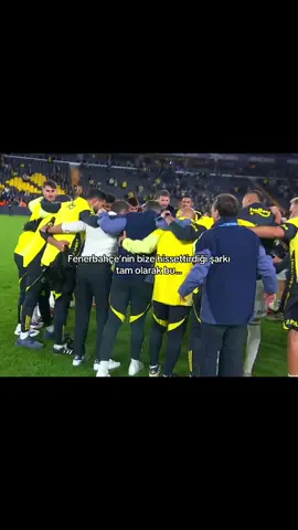 Öyle bir dert verdinki,kendime gelemedim.. #fenerbahçe #kenetlendik #aagsports #tedesco 