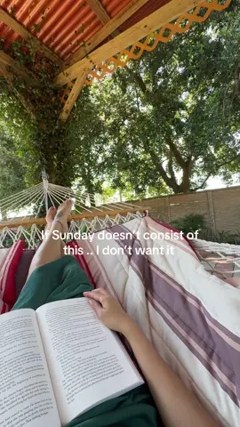 Perfect Sunday vibes #BookTok #weekendreading #readersoftiktok #alchemised 