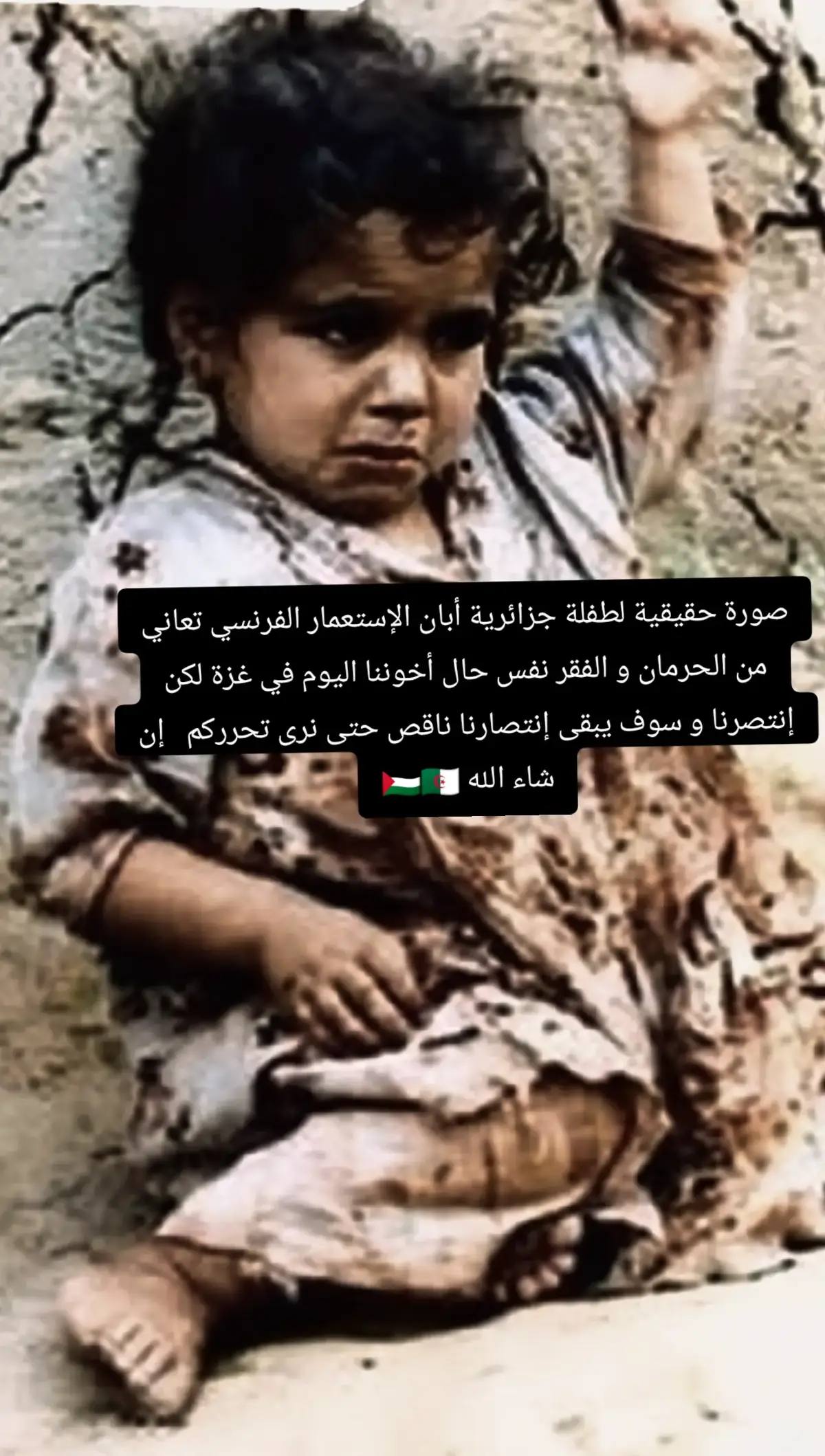 تورة الأحرار 🇵🇸🇩🇿