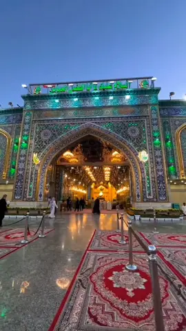 #creatorsearchinsights 