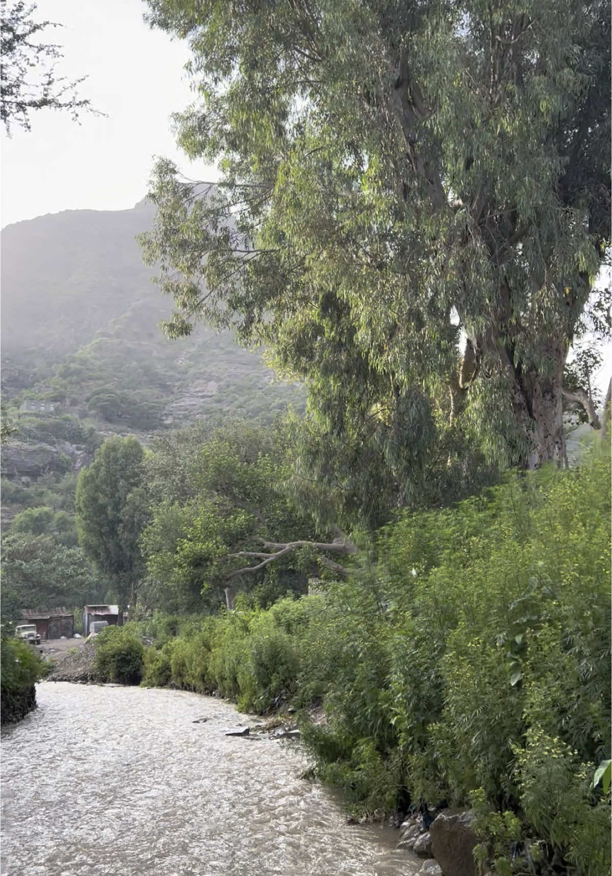 تعز بني يوسف وادي الحريبه