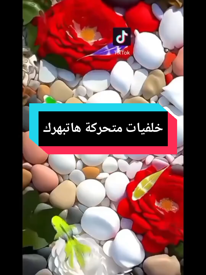 خلفيات متحركه هاتبهرك #الشعب_الصيني_ماله_حل😂😂  #اكسبلور 