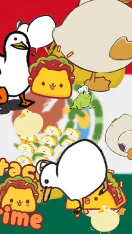 taco