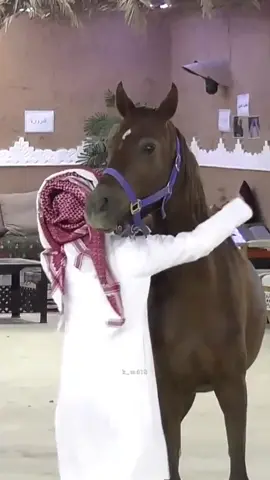 انت كيف فارق عن كل كيف❣️. ٌ . @محمد بن مرجع اليامي #محمد_مرجع_اليامي #محمد_اليامي #الشعب_الصيني_ماله_حل😂😂 #foryoupage 