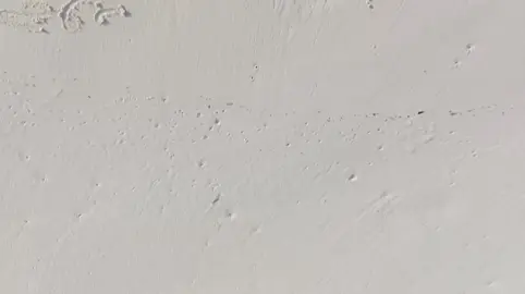 #CapCut اقتلوا يوسف #fyp #قران_كريم #الحمدالله_علی_کل_حال❤ #المنشاوي 