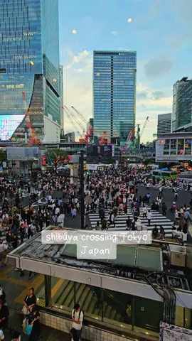 #fyp #fypシ #japan #foryourpage  #travel 