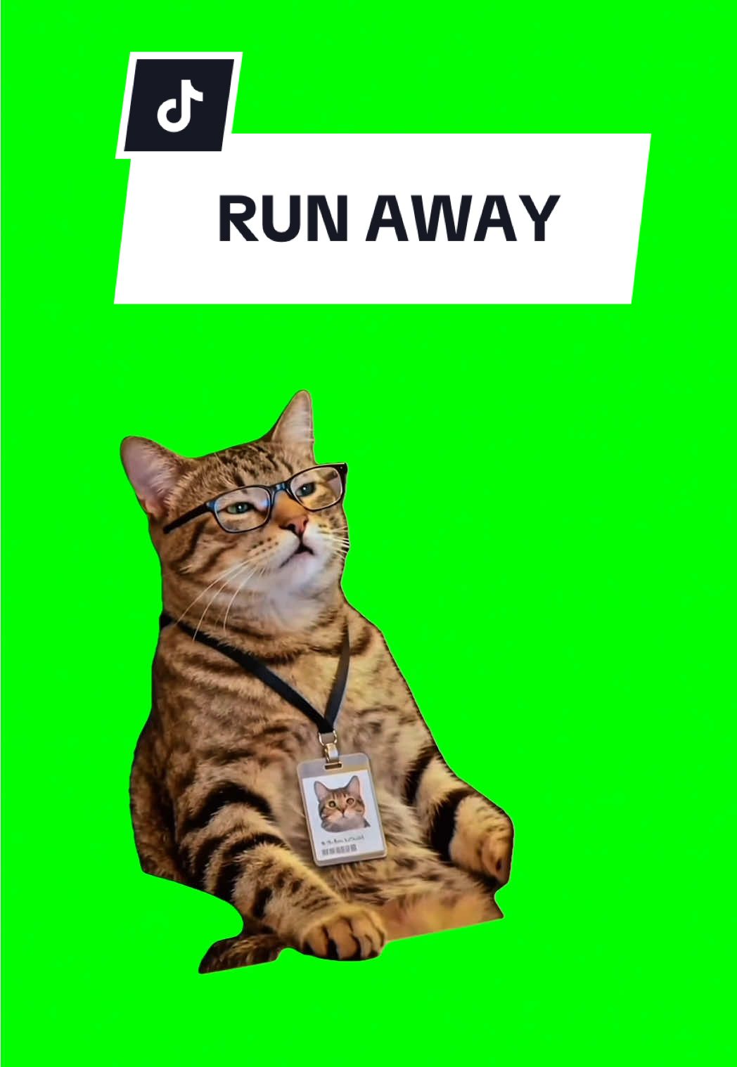 RUN AWAY  #meme #greenscreen #fyp #trending #cat 