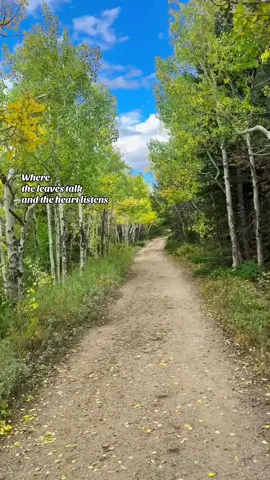 The forest invites us to pause. To listen, not just with our ears, but with the soft space behind the chest. 🍂 Fall is a season of release — but what does letting go really mean? It’s not just about dropping what weighs us down. It’s about creating space… so the heart can breathe again. So it can speak in its quiet language, and be heard. Here, beneath gold and sky, the noise fades. And what remains is simple: presence, breath, and the whisper of leaves. Breathe slowly. On the exhale, imagine what no longer serves you lifting and swirling away with the wind through the trees. On the inhale, draw in the frequency of golden light and open blue sky, letting it wash through your heart. Let it settle. Let it open you. 🍁✨ #naturelover #colorado #fallleaves #mindfulness #hikingtiktok 