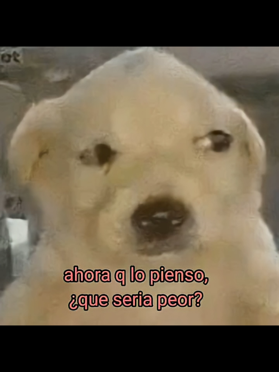 Al chile no sé 😭 #meme #tiktok #paratiiiiiiiiiiiiiiiiiiiiiiiiiiiiiii #momo #comedia 
