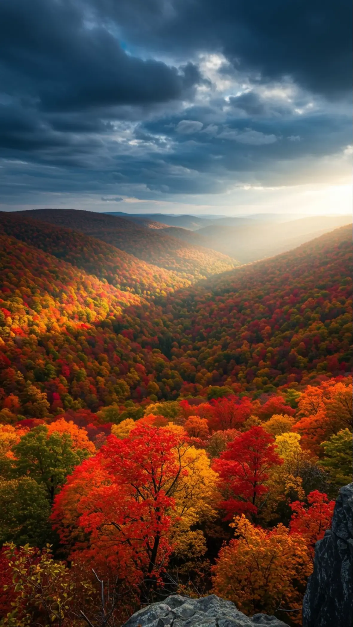 Fall Wallpapers #wallpaper #fyp #fall #autumn #relaxing 