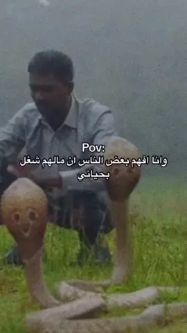 ‏#دويتو مع @تقوى♡ 