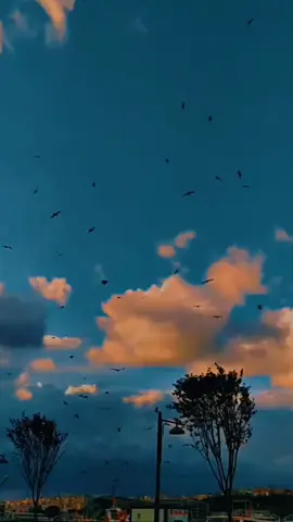 #ياعمري#انتي#وانا#شتقتلك#روحي فيديو من اختي الله يجمعني معك ياروحي 🥹