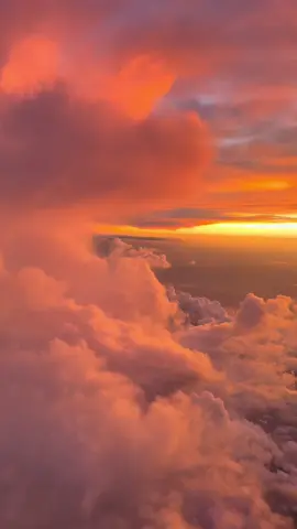 vetiver y amaretto 🍃 || #humbe #fyp #dueñodelcielo #vetiveryamaretto #album @HUMBE 💚