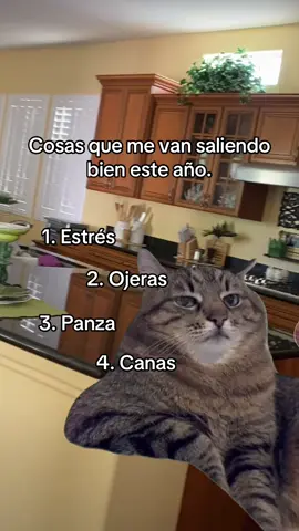 #Meme #MemeCut cosas que van saliendo bien este año