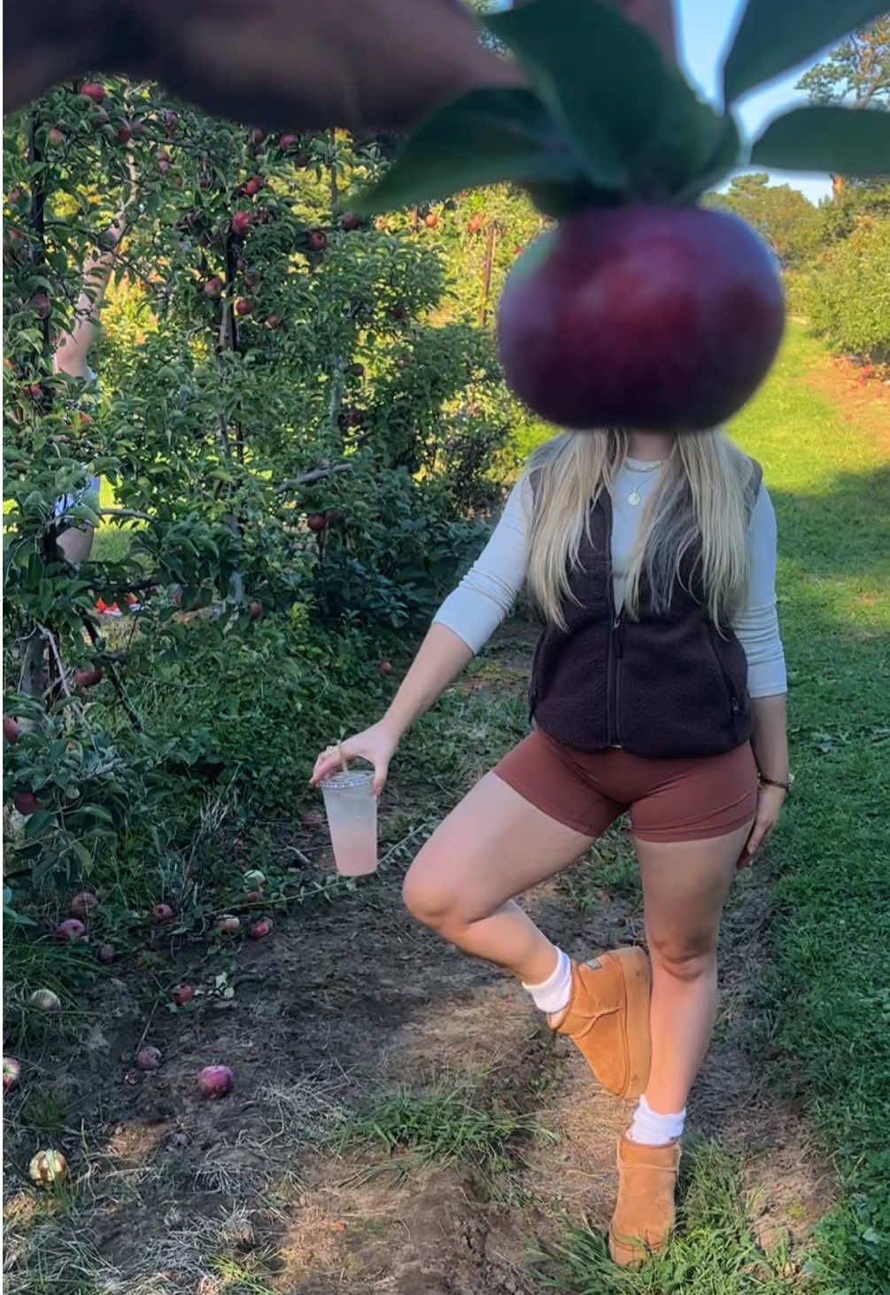 Apple picking 🍏🍎 guess what apple I am 🫶🏼 #applepicking #apples #fallactivities #fallaesthetic #falltime 
