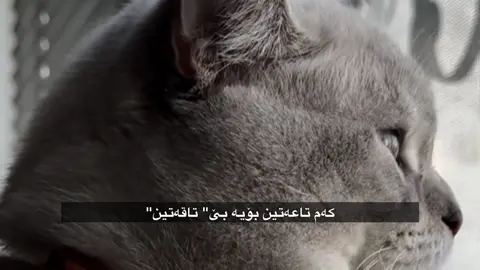 🤍🤍، @قَرِيبٌــــــا #capcut #foryou #foryoupage 