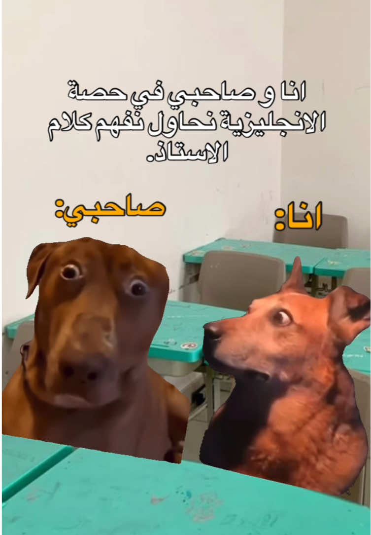 طاقيه🤣🤣🤣.  #fyp #viral #explore #الشعب_الصيني_ماله_حل😂😂 #مالي_خلق_احط_هاشتاقات #foryou #memes #منشن_للي_تحبه #طاقيه_طاقيها😁❤️💍 #حقيقة #ميمز_العرب 