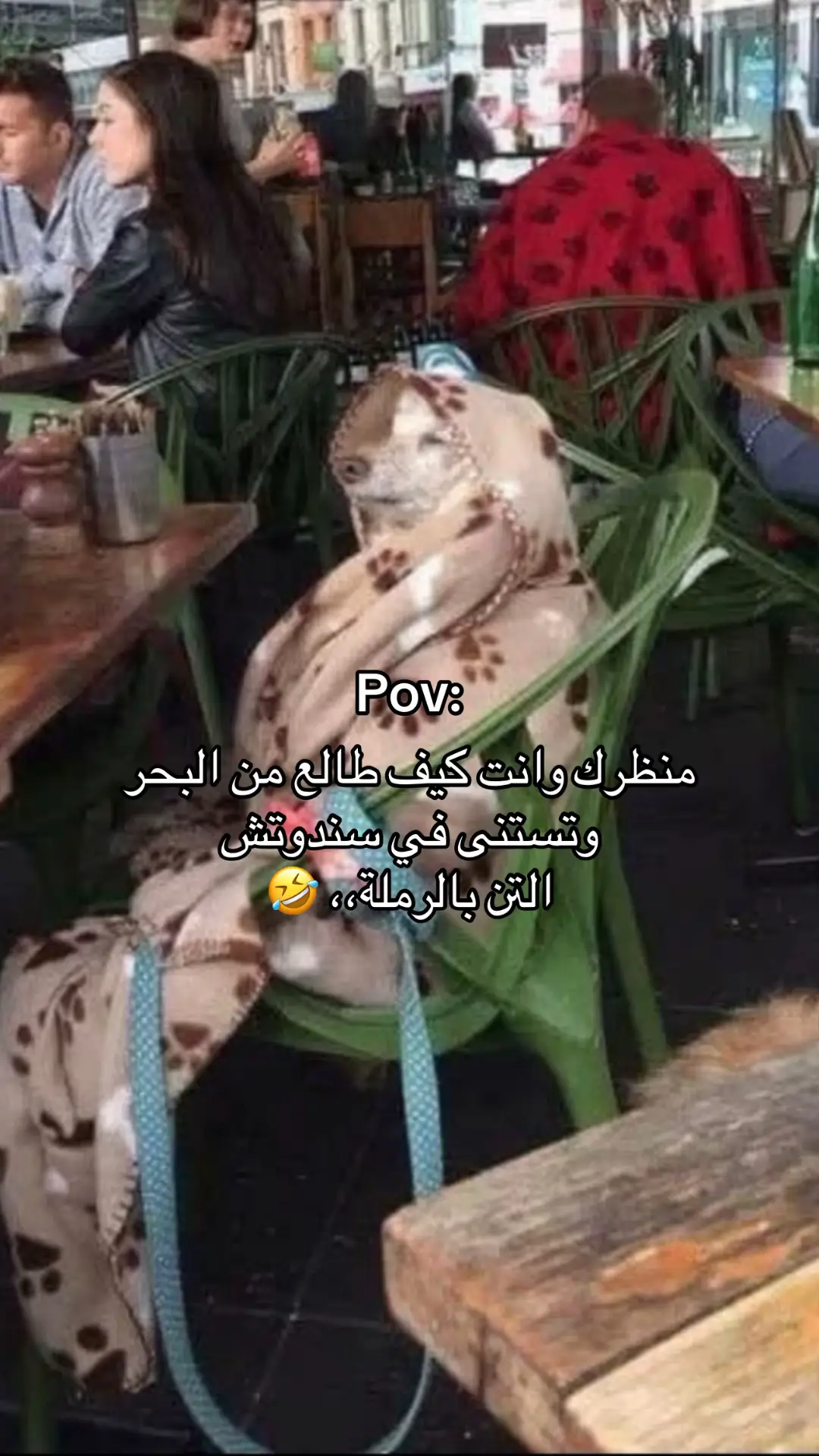 #explore #libya🇱🇾 #fypシ゚ #benghazi #pyyyyyyyyyyyy 