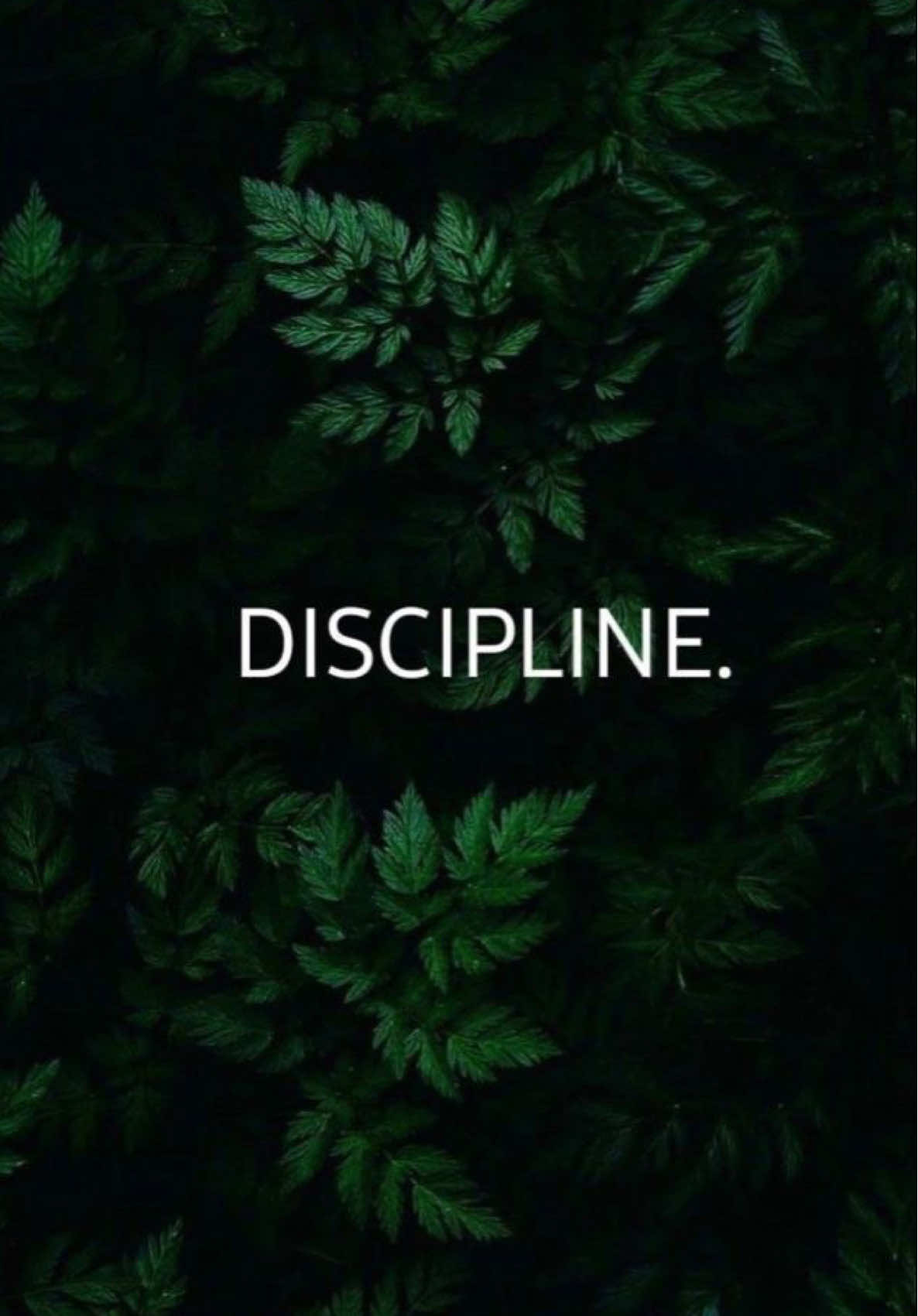 Discipline 🤍